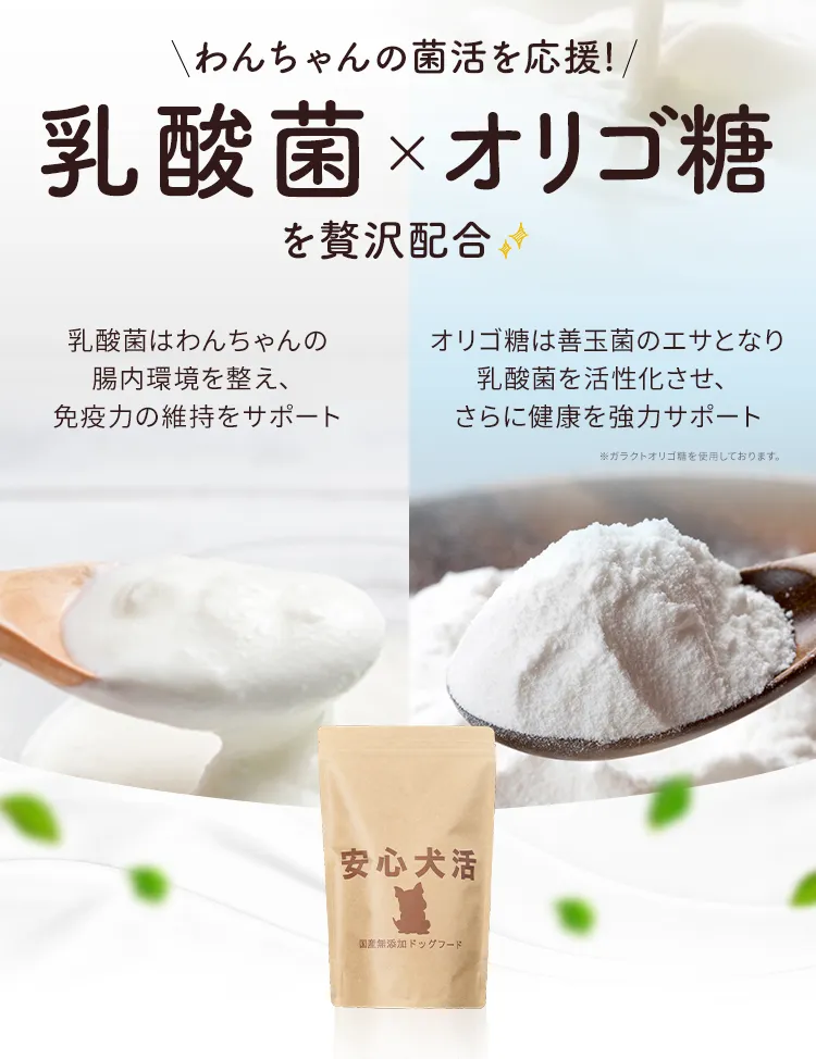 乳酸菌・オリゴ糖配合で愛犬のおなかの菌活を応援。乳酸菌はわんちゃんの腸内環境を整え、免疫力の維持をサポート。オリゴ糖は乳酸菌を活性化させ、さらに健康を強力サポート。