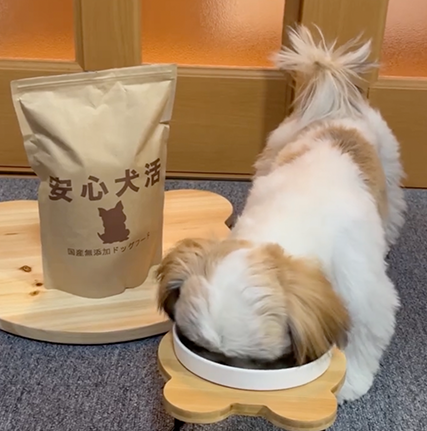 Onedogs_マイページ-ログイン｜安心犬活-[ONEDOGS]
