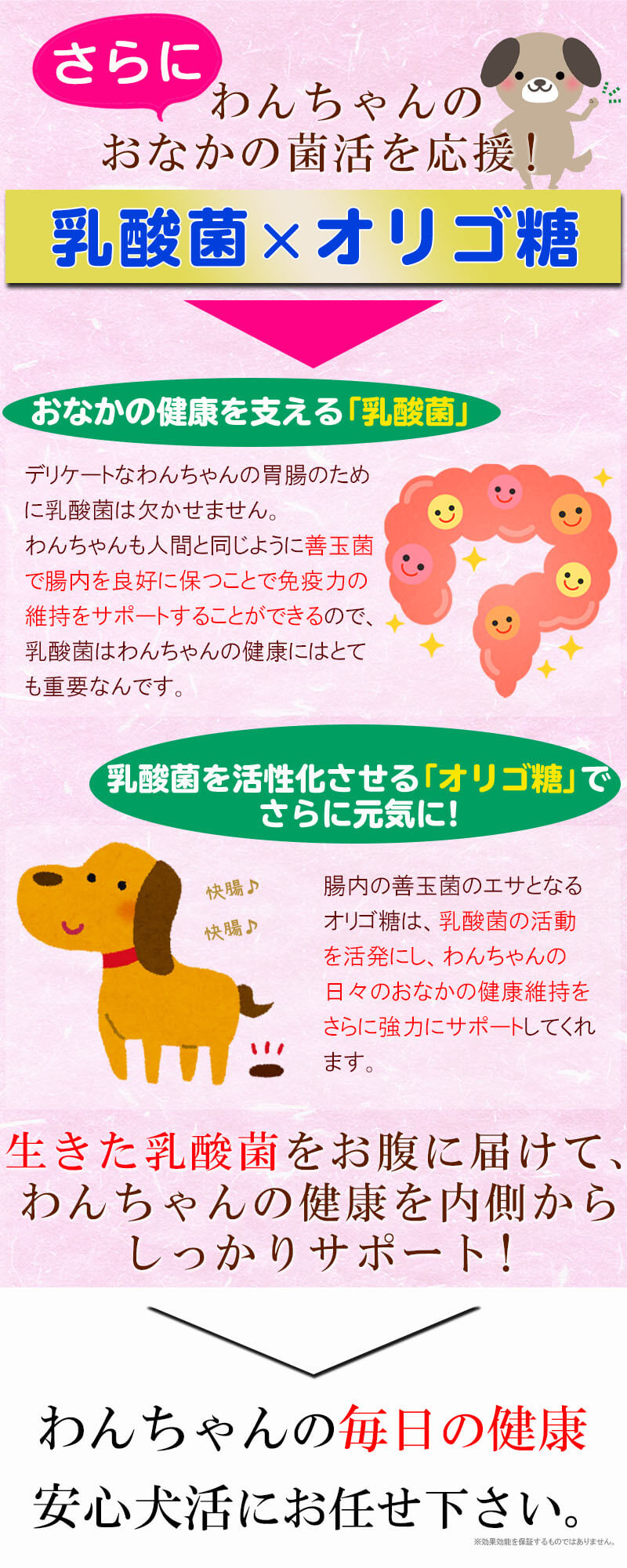 安心犬活 国産無添加ドッグフード 公式ページ Onedogs